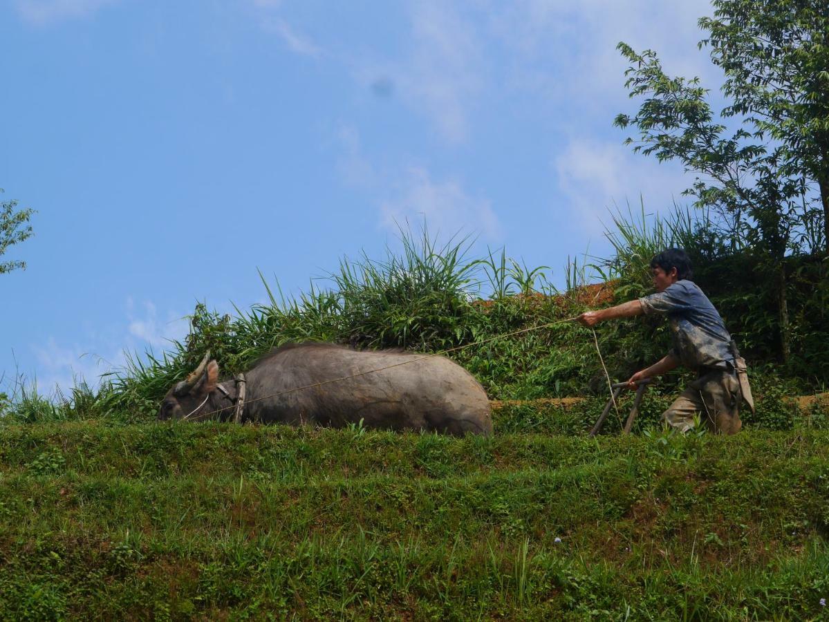 Hmong Sister House And Trekking Sapa Exterior foto
