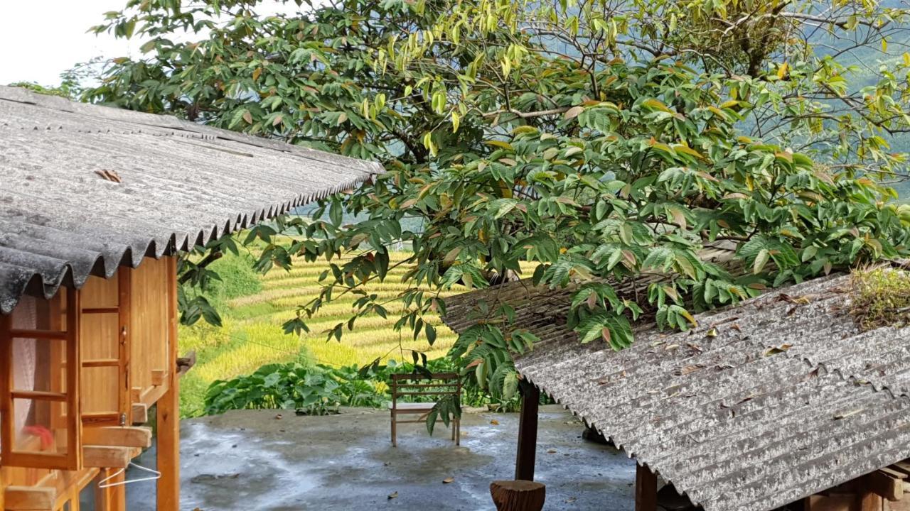 Hmong Sister House And Trekking Sapa Exterior foto